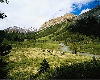 微软宣布动视暴雪CEO考迪克将于12月29日离职